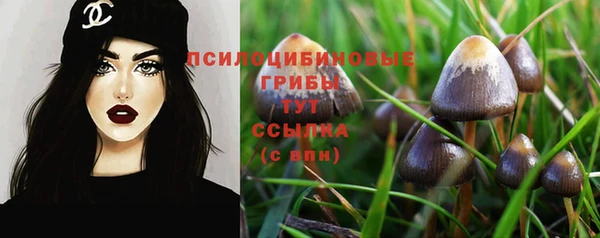 а пвп мука Белокуриха