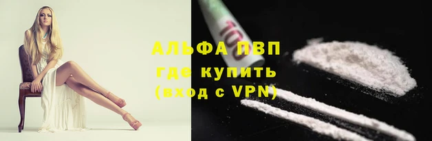 дживик Баксан