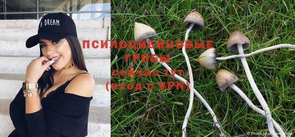а пвп мука Белокуриха